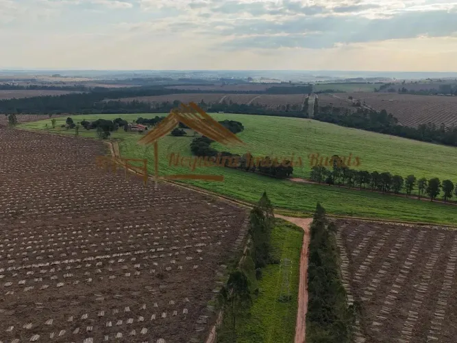 Fazenda com 550 alqueires região de Avaré-SP