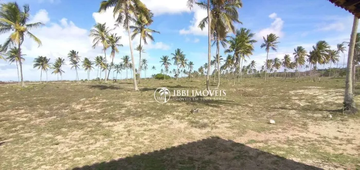 Lotes pé na areia frente mar