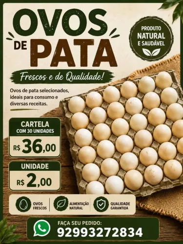 Ovos de Pata - Cartela com 30 Unidades