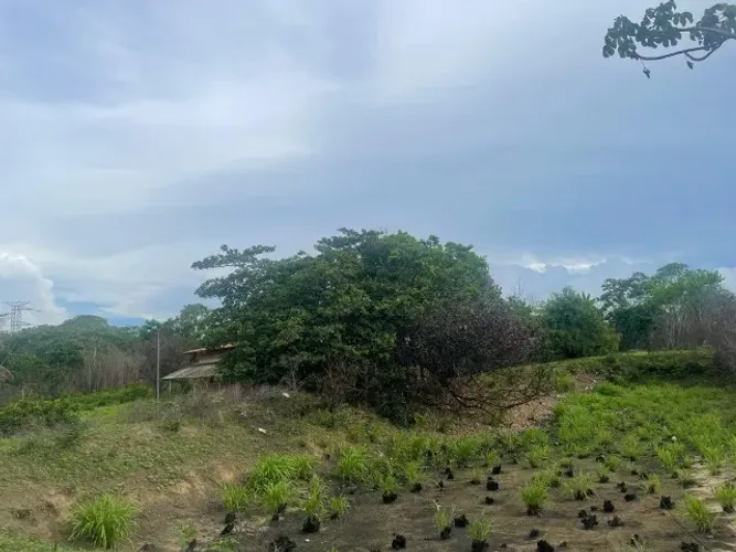 ÁREA DE 22,000m² ao lado de condomínios