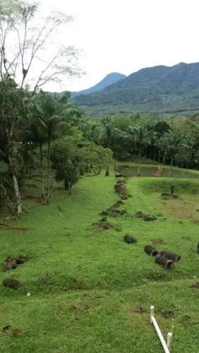 Sítio de 912.000 m² à Venda no Quiriri Joinville/SC