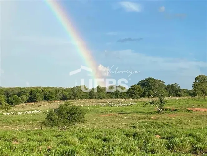 Fazenda dupla aptidão - com 28,5 alqueires - Bom Jardim de Goiás - Escriturada e Atualizad
