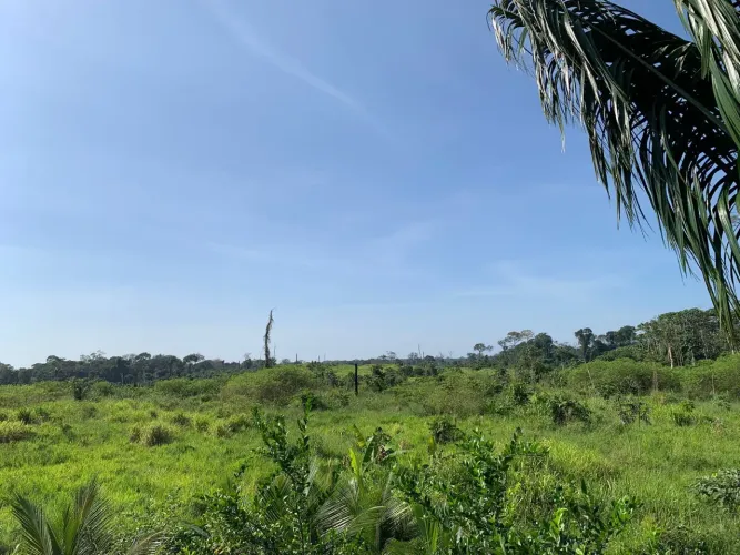Terra a venda 
