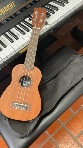 UKULELE CONCERT SRINBERG