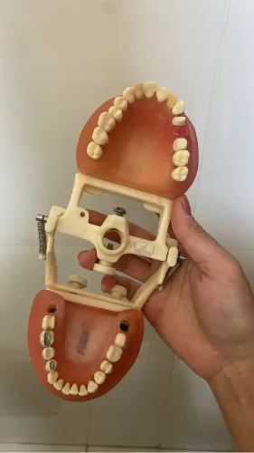 Vendo manequim de dentistica pronew