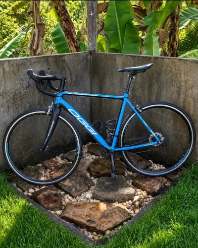Bicicleta Speed