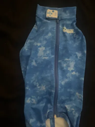 Roupa para castração de cão macho 