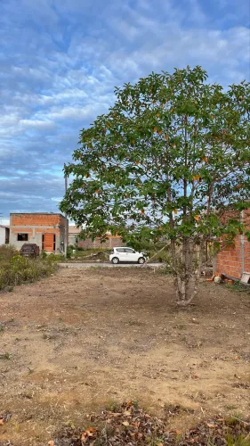Repasse de lote no Terra Nova Solaris