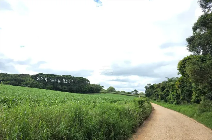 Imóvel para venda com 25814 metros quadrados em Colônia Murici - São José dos Pinhais - PR