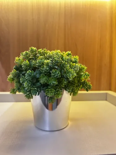 Vaso decoração