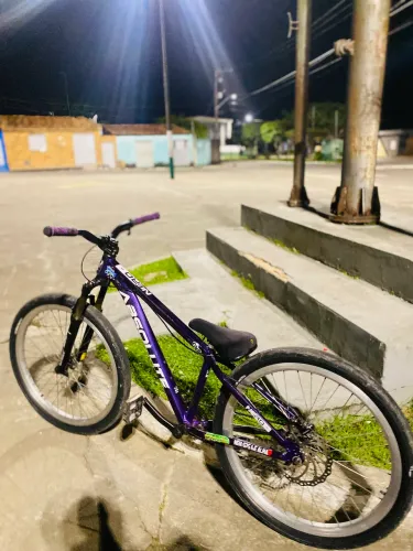 Bike Aro29