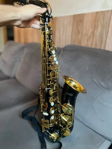 Saxofone Alto Halk, Preto (Semi-novo)