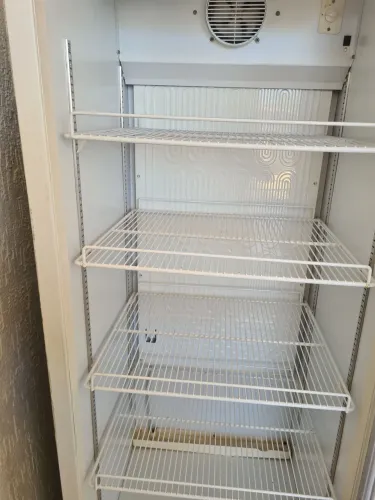 Freezer expositor gelopar