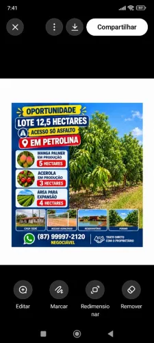 Lote Agrícola em Produção em Petrolina!