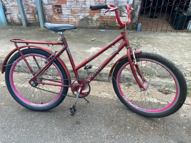 Bicicleta poti aro 24