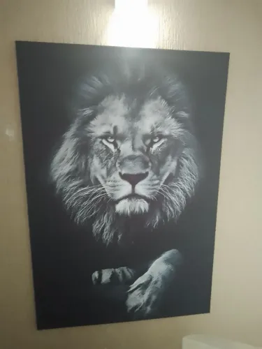 Quadro 