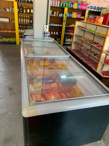 Vendo ilha de congelados <br>110v<br>Valor 2.500,00<br>Whatsapp *