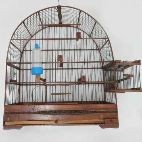 Gaiola Canário