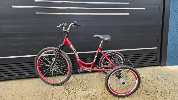 Bicicleta triciclo 