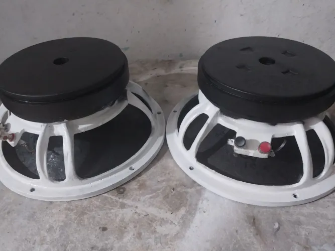 Vendo um pa de alto-falantes de 10 polegadas