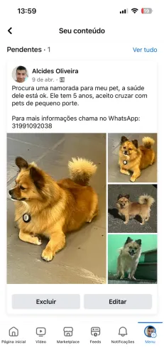 Cruza pet