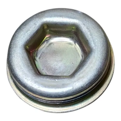 Bujão Bomba Alta Pressão Bosch 1420560004 Ducato S10 Boxer Prata zincado