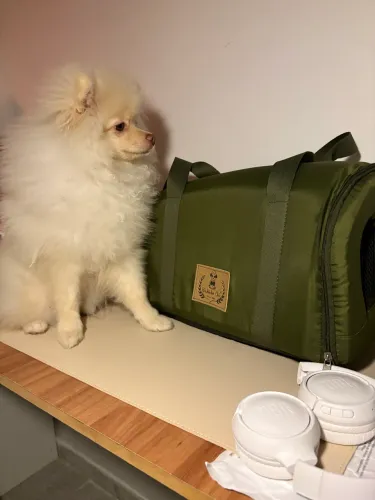 Bolsa de transporte para pet