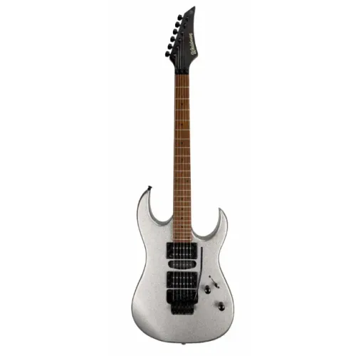 Guitarra Eletrica Waldman WIG-270 SPSV