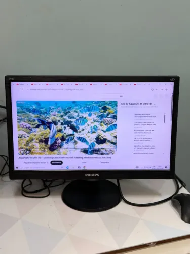 Monitor LED 19 Polegadas Philips 193V5 HDMI e VGA - Imagem Impecável