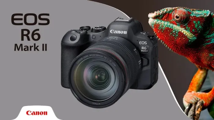 Vendo EOS R6 Mark II Novo Lacrado Com Nota