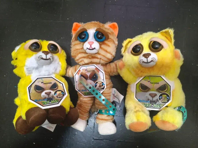 Feisty Gato amarelo