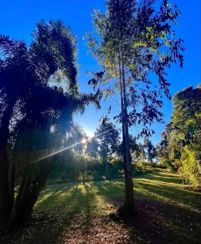 Terreno de Chácara 5.000m2| Entrada 70 mil