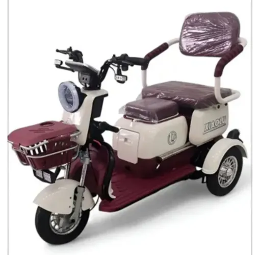 Triciclo elétrico 1000w 05/2026