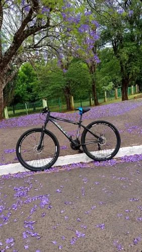 Bicicleta Colli Atalanta aro29
