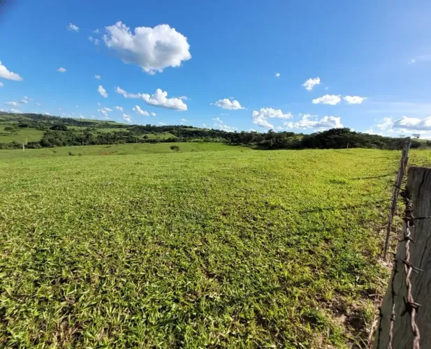 SITIO À VENDA - 5,5 ALQUEIRES Excelente oportunidade para investimento, pecuária ou lazer!