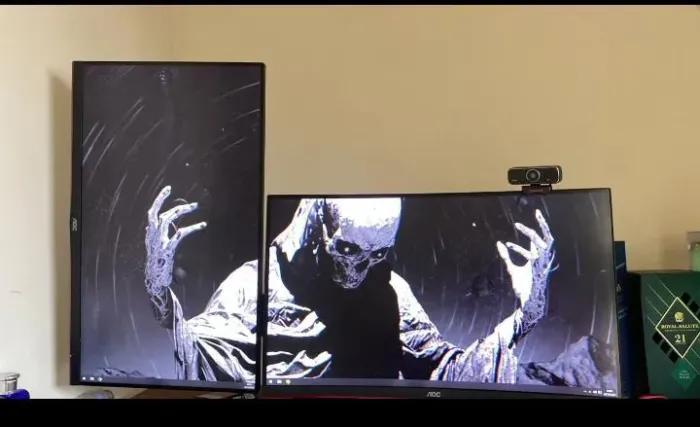 Monitor gamer 165 hz 1 MS 