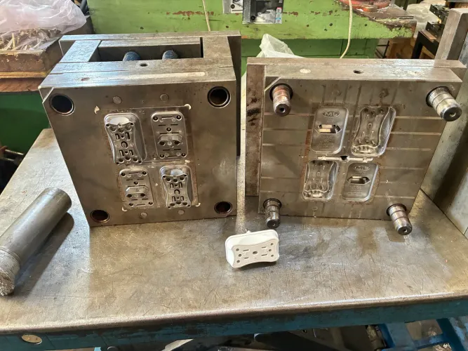 Molde multiplicador 