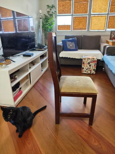 Cadeira para Sala de Jantar