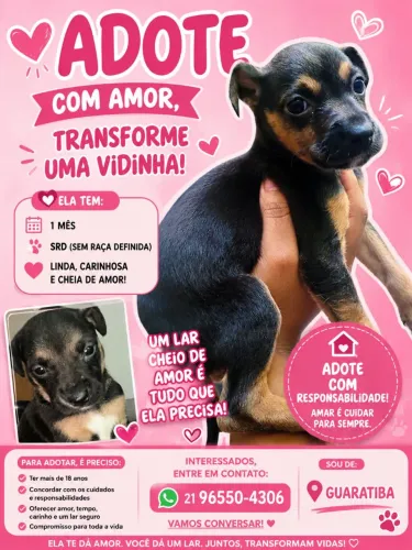 DOAÇÃO RESPONSÁVEL