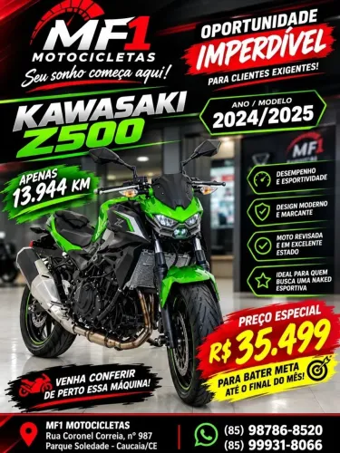 Kawasaki Z 500 2025