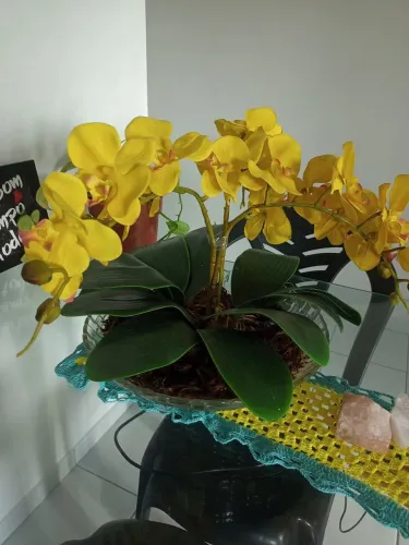 Vaso Decorativo de Orquídea