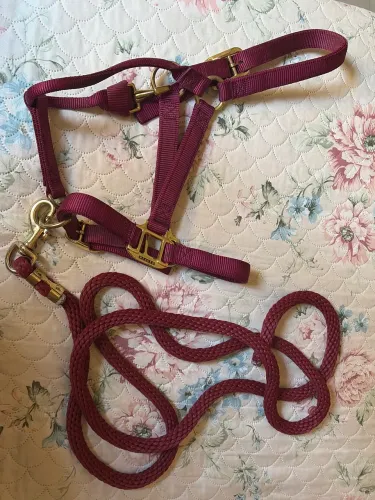Cabresto para Cavalo marca (Weaver Leather)