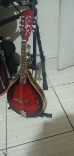 Bandolim Mandolin Phoenix