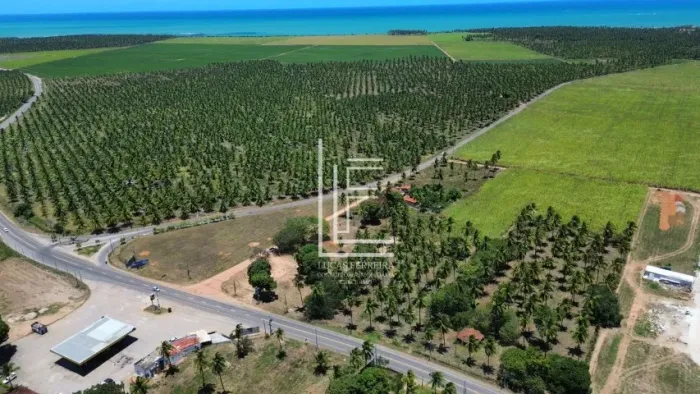 Área de 21.000m² com ótimo potencial de investimento no Pontal de Coruripe - AL