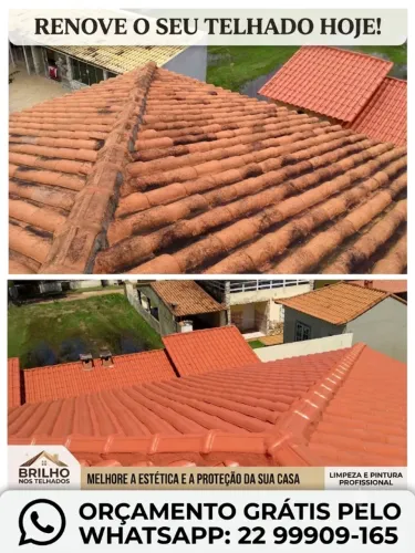 Lavagem e pintura de telhados