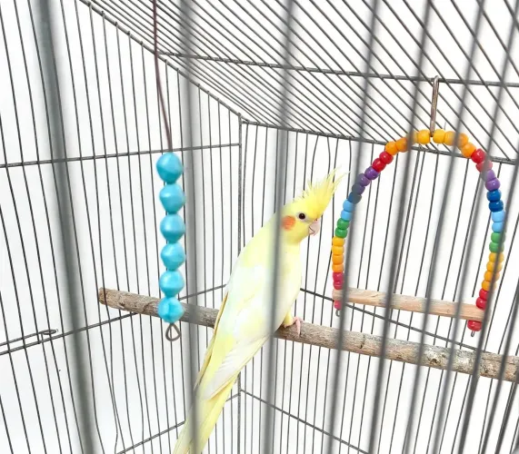 Lutina 