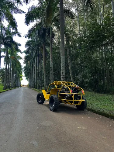 Gaiola Off-Road