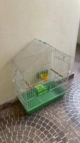 Gaiola Bragança para calopsita, periquitos e passarinhos em geral