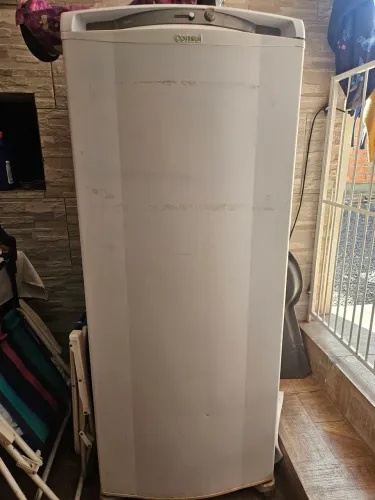 Freezer vertical