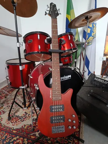 Baixo Steinberg 5 cordas ativo